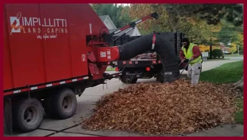 Spring Cleanup