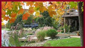 Fall Cleanup