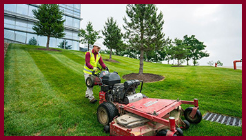 Lawn & Bed Maintenance